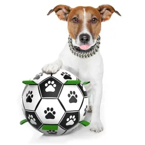 Interactive Soccer Ball
