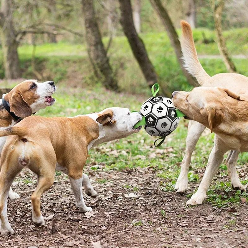 Interactive Soccer Ball